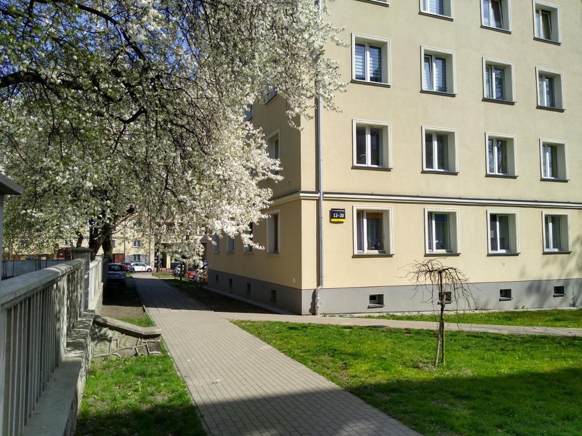 Apartment Bluebird Katowice Near Spodek Mck & City Center Esterno foto